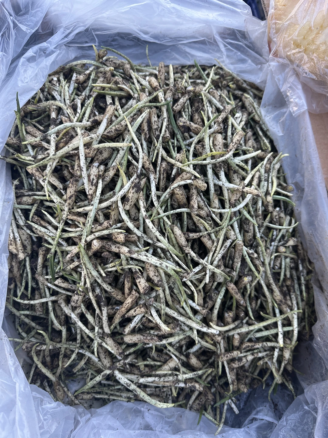 组织者并没有提前一天通知我，第二天的游览路线有变化，是导游接到我之后，我才知道改变了游览路线。但是导游Сулумбек很热情，负责，也很有耐心，我当天身体不太舒服，也没有睡好，导游知道后，让我自己在最后一排可以休息，还贴心的给我找了抱枕让我可以躺着休息，每到一个景点都会询问我是否好些了，是否要去游览这个景点？还贴心的带我们去当地的市场购买当地的食物，真的好便宜，而且还吃到了之前没吃过的当地食物。整体是十分开心的，给导游点赞！