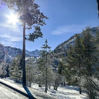 Фото отзыва 1: экскурсия "На Медео, Чимбулак и Кок-Тобе — на электромобиле из Алматы"