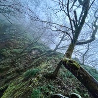 Фото отзыва 4: экскурсия "Шемаха и&nbsp;Габала: групповая экскурсия"