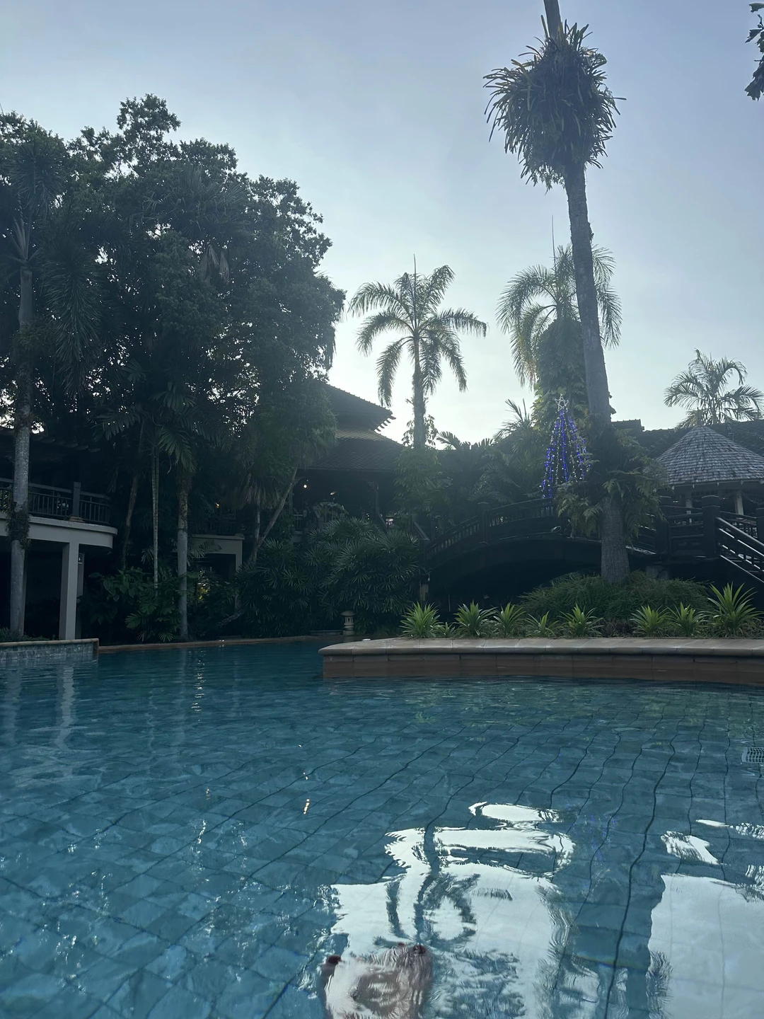 Половина локаций понравилась - много эмоций от посещения слоновника, красивое кафе с кувшинками и вечером термальные источники