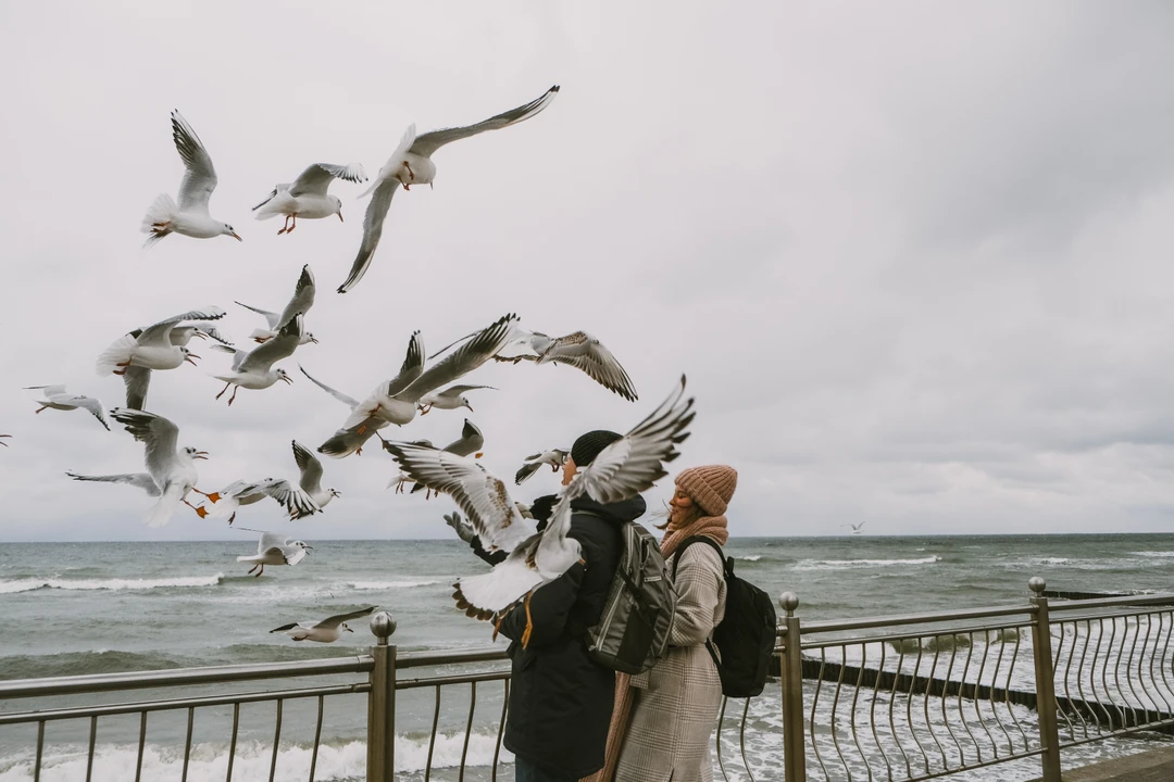 Творческая фотопоездка по Куршской косе (Ксения)