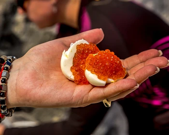 Вулкан Баранского, кулинарный эксперимент, река Кипящая