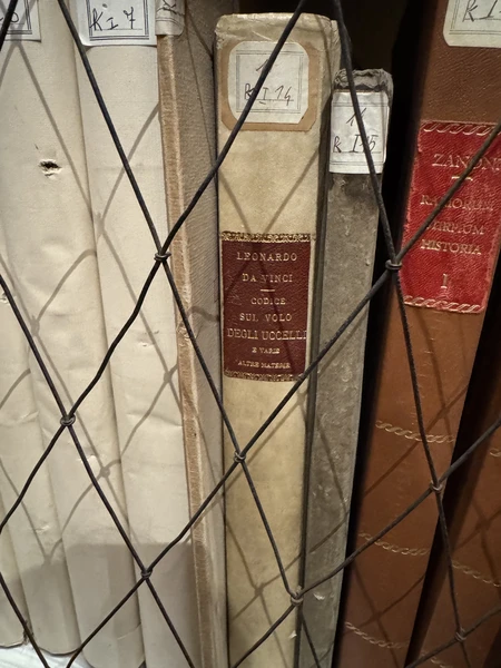 Проездом заскочили в Болонью на 1 день. Очень хотелось познакомиться с историей города, посетить самые значимые