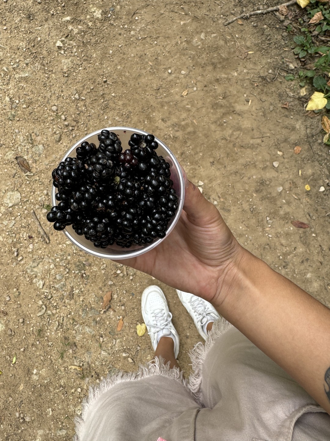 Гид - прекрасная девушка 🤍 Я никогда не пишу отзывы, но здесь хочется это отметить. Можно