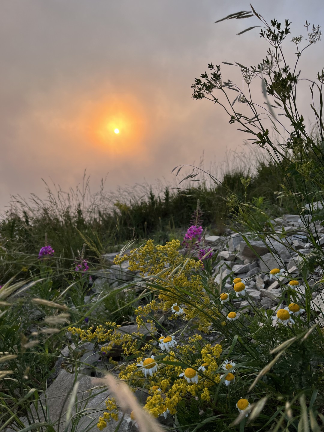 Пятигорские пейзажи: фотосессия на горе Бештау (Алексей)