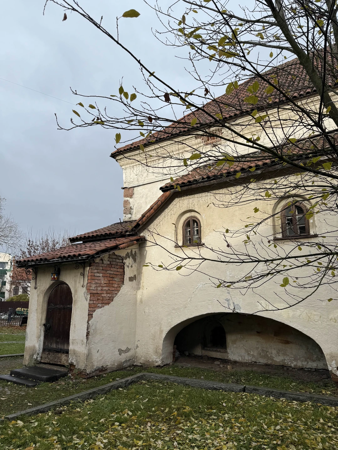 Большая обзорная прогулка по Выборгу (Ольга)