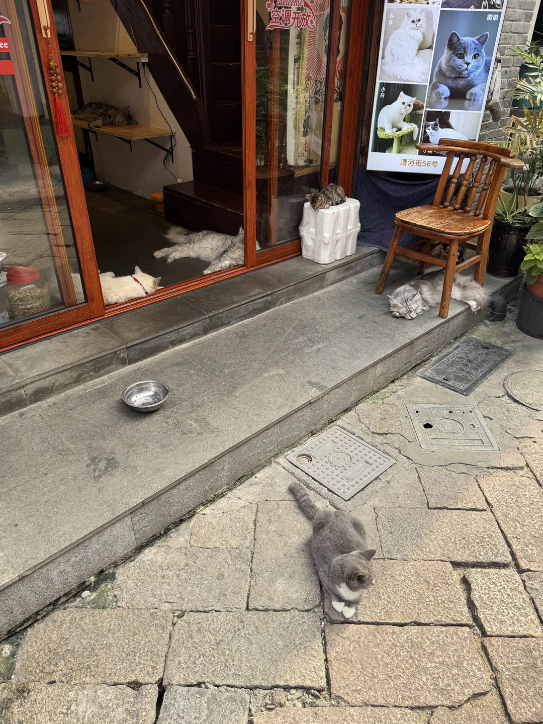 Чжуцзяцзяо - шанхайская Венеция (Мария)