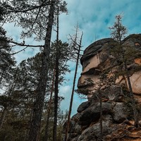 Фото отзыва 3: экскурсия "Столбы — магия Сибири"