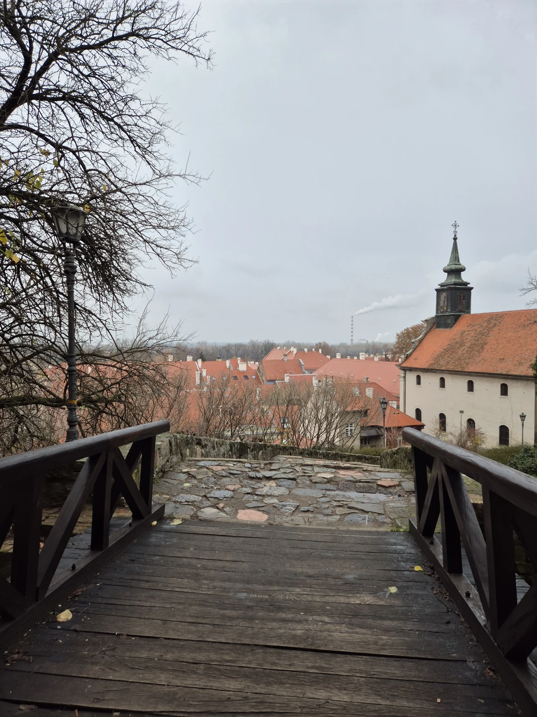 Нашем гидом была Елена. Экскурсия превзошла все ожидания, было очень интересно слушать историю Сербии и Нови-Сада
