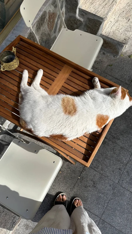 Прогулка с аудиогидом по европейской набережной Босфора