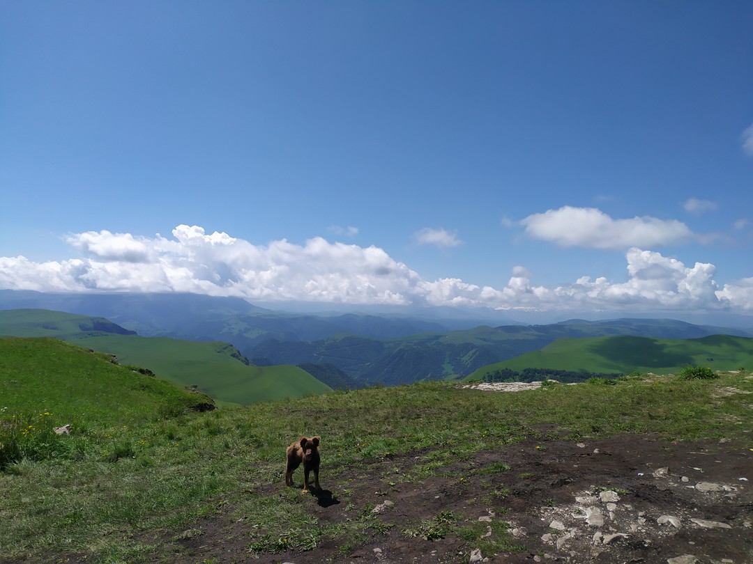 К истокам нарзана (Анастасия)