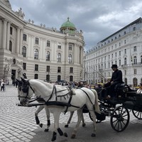 Фото отзыва 5: экскурсия "Прага — Вена: экскурсия в имперскую столицу"