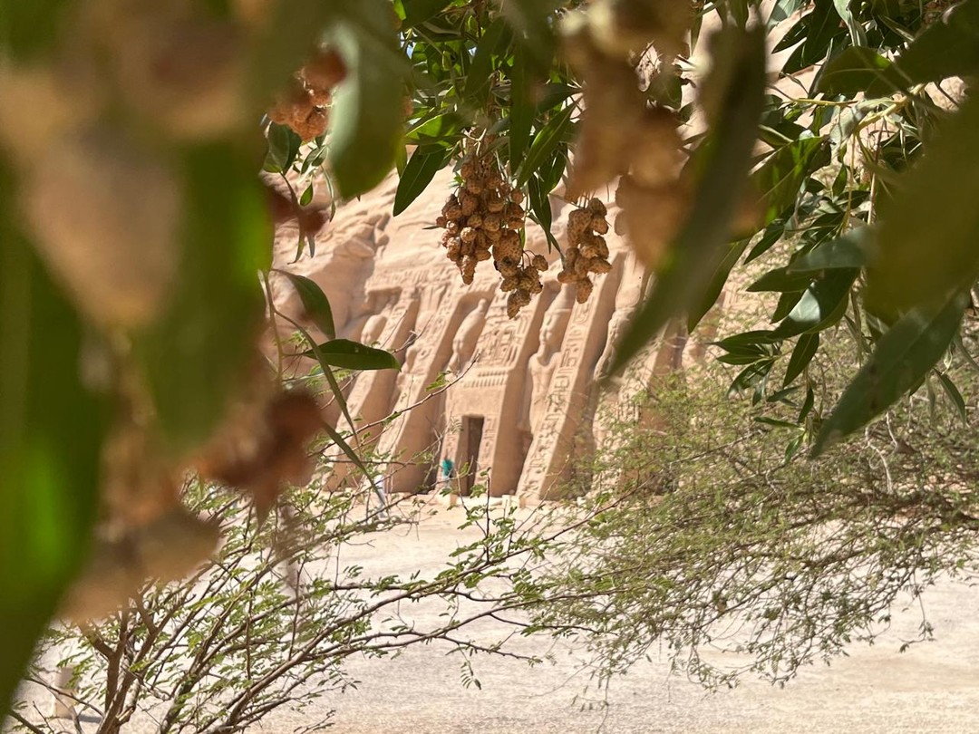 У меня получилось сложное путешествие, в которое вошли стразу несколько предложений от Ахмеда и его коллег.