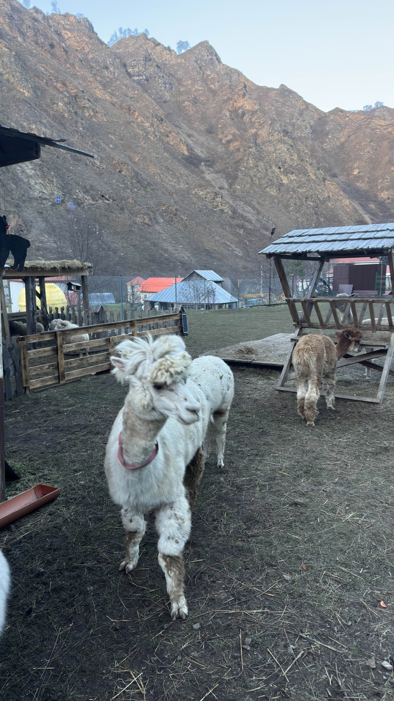 спасибо за отличную экскурсию 😍