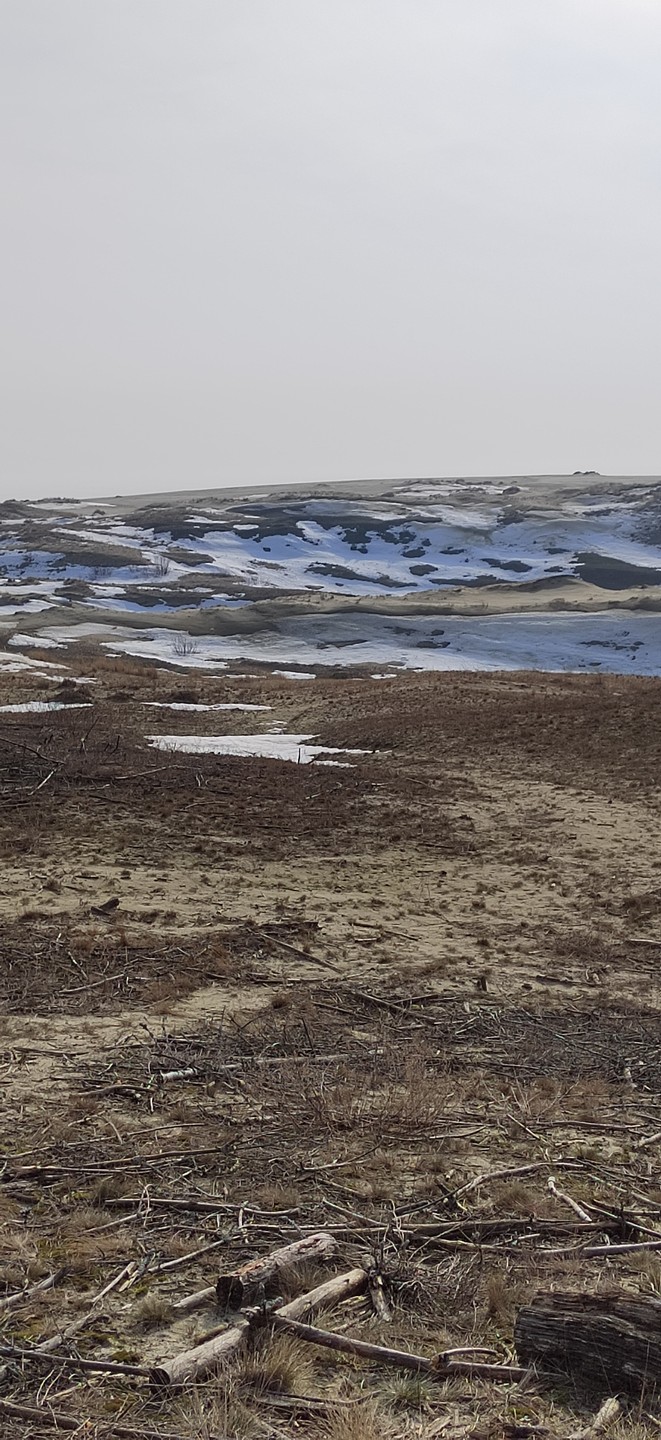 Утренняя Куршская коса, Зеленоградск и замок Нессельбек на автобусе (Татьяна)