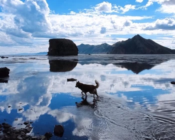 Янтарный пляж, посёлок Взморье, бухте Тихая