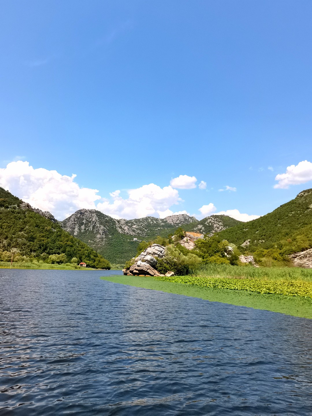 Увидели много красивых мест, впечатлений масса, довольны все как слоны👍 Спасибо Светлане за интересный тур и