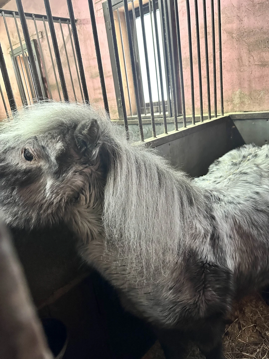 Здравствуйте! Сегодня была на экскурсии, все очень понравилось 😊