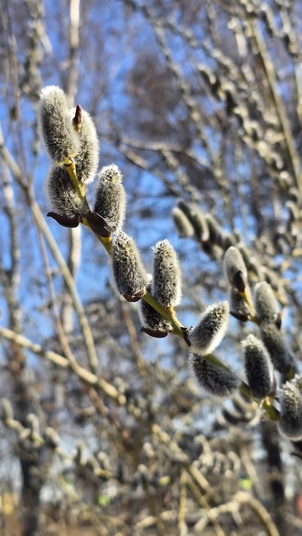 Это третья экскурсия на которую я прихожу к Сергею