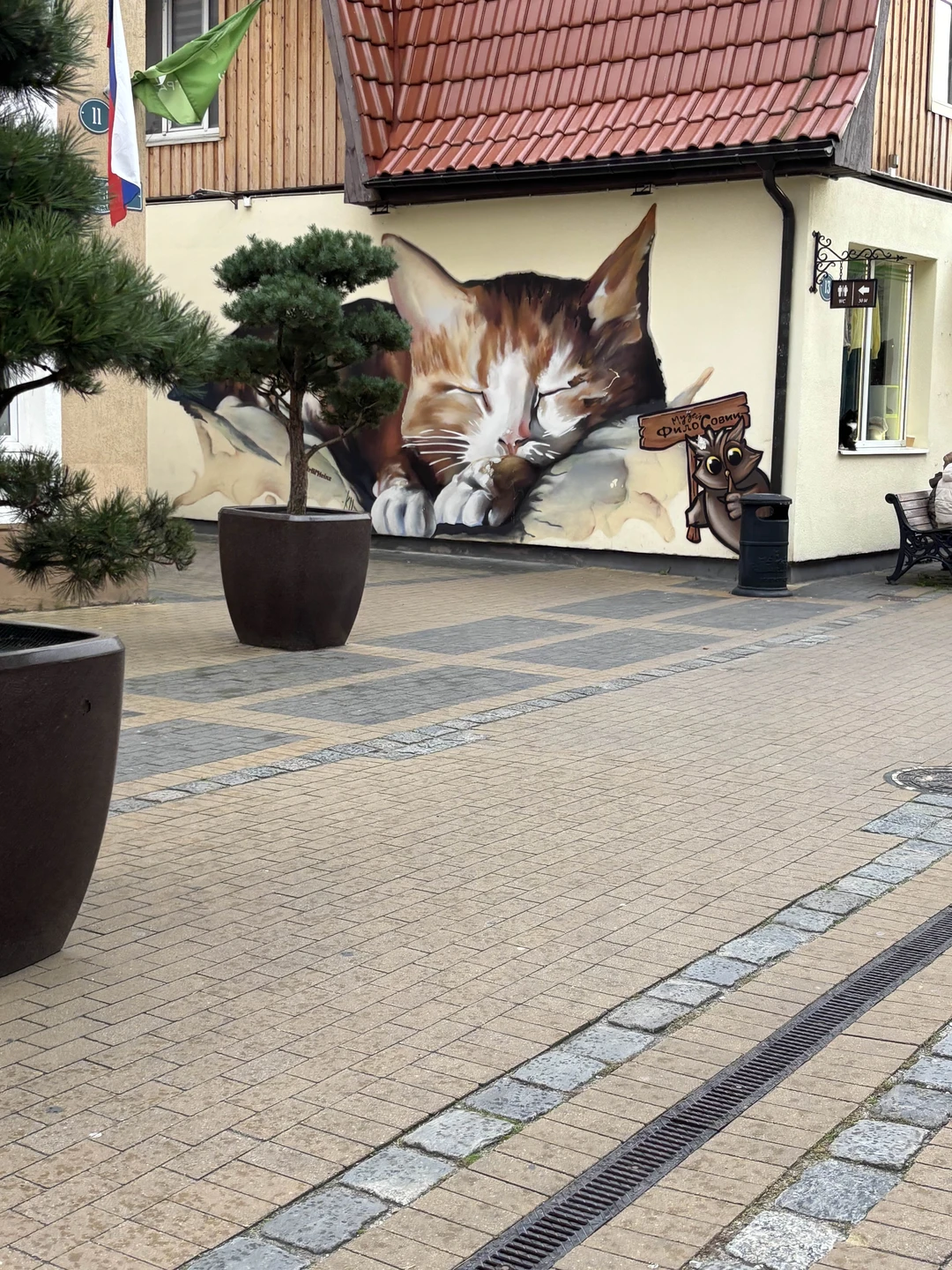 Наша семья в октябре 2025г. посетили Калининград. Выбрали экскурсию с Екатериной по Куршской косе и Зеленоградску.