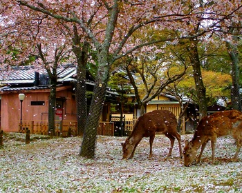 Свободный день и программа на выбор