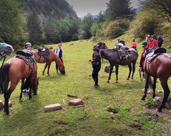 Поход по альпийским лугам