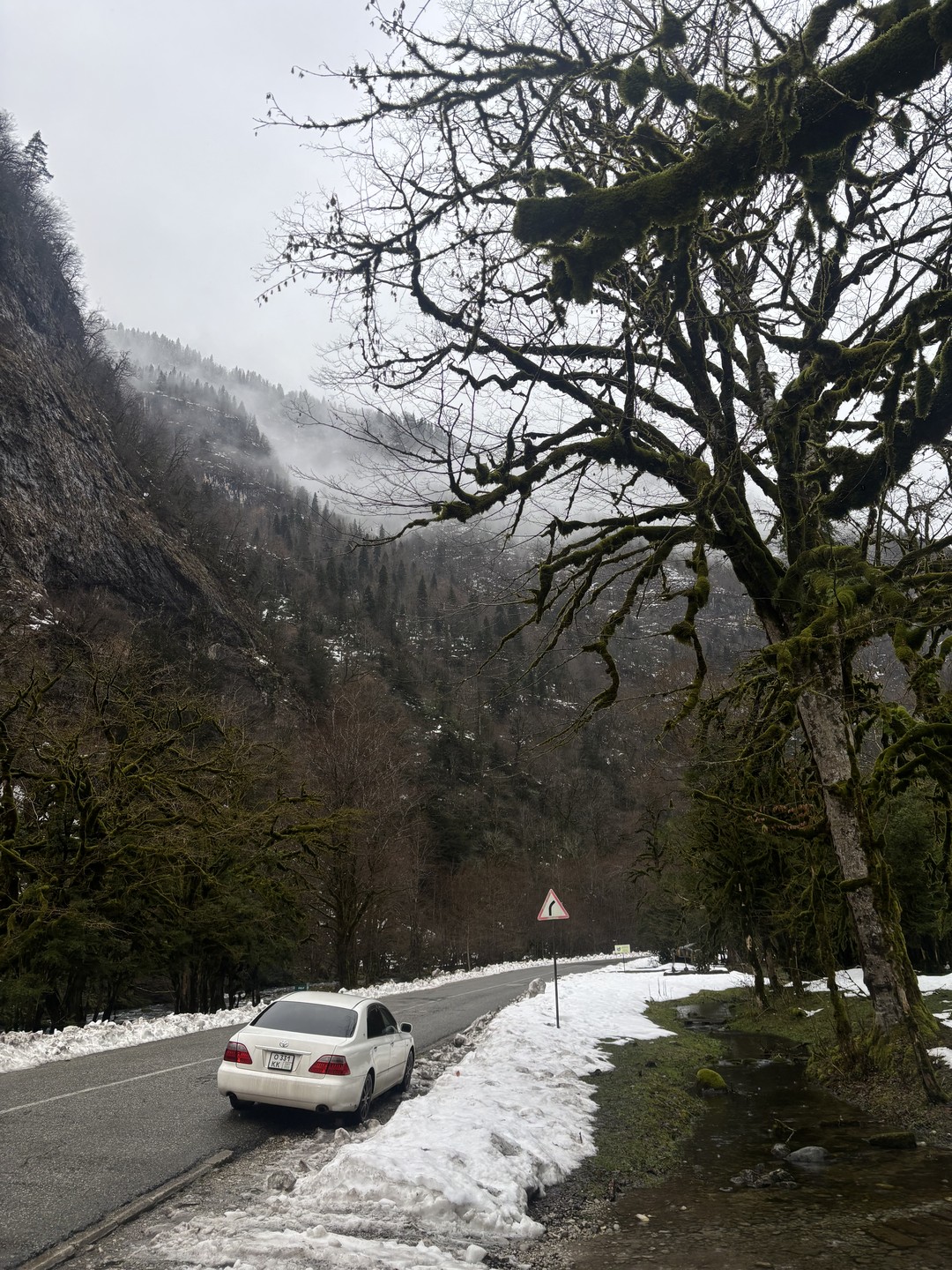 Волшебными дорогами к Рице из Сочи (Ирина)