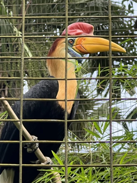 отличная эскурсия. по времени не долго. 6-7 часов