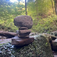 Фото отзыва 2: экскурсия "Фитнес-тур на черноморском побережье: комплексные тренировки и отдых на море"