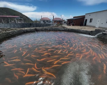 Григорьевское ущелье