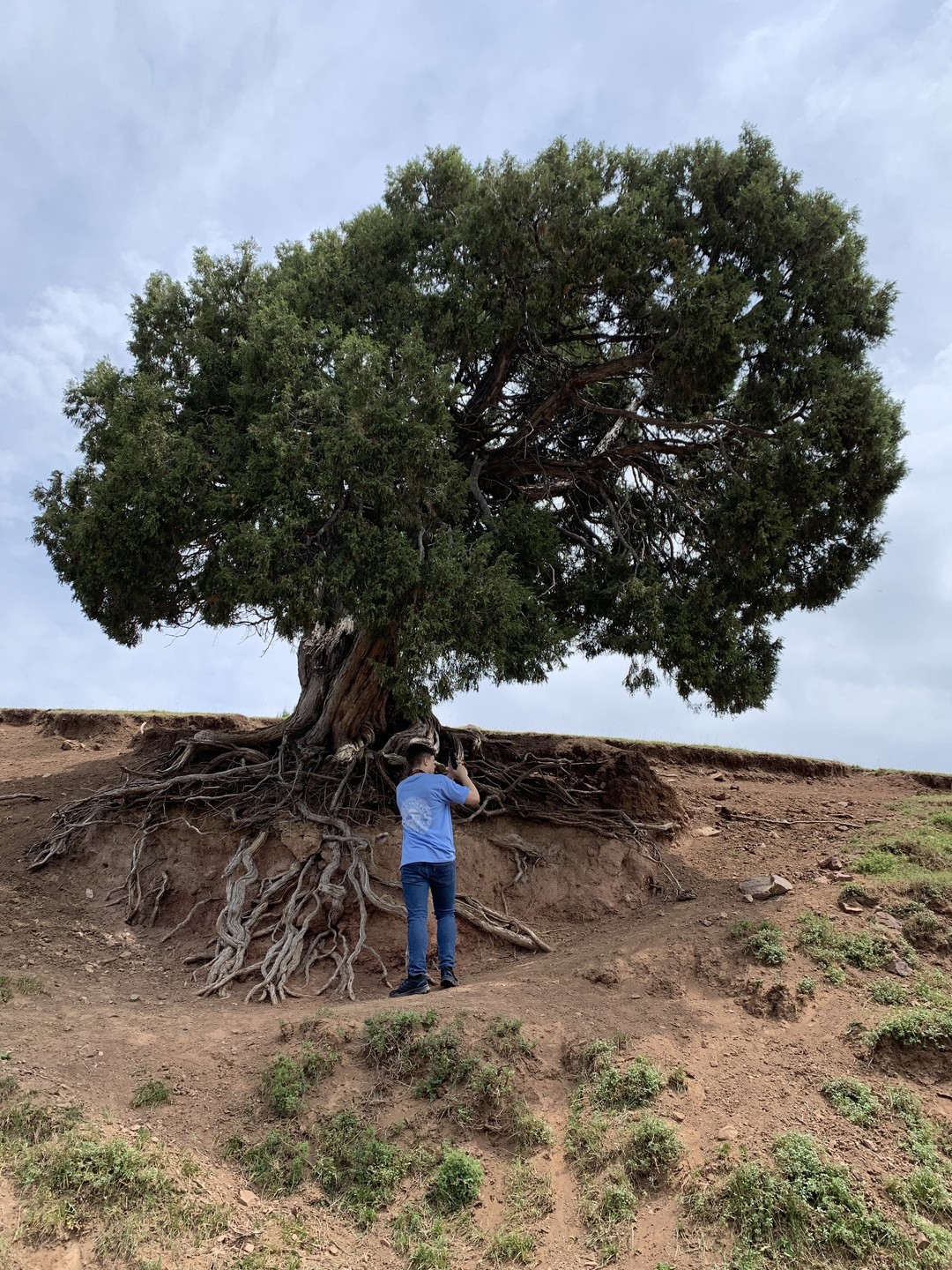 Биосферный заповедник Чункурчак и его окрестности (Марина)