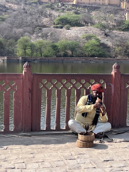 Тур замечательный, насыщенный. Все продумано и организовано, начиная со встречи в аэропорту гирляндами из мэриголда,бархатцев, что