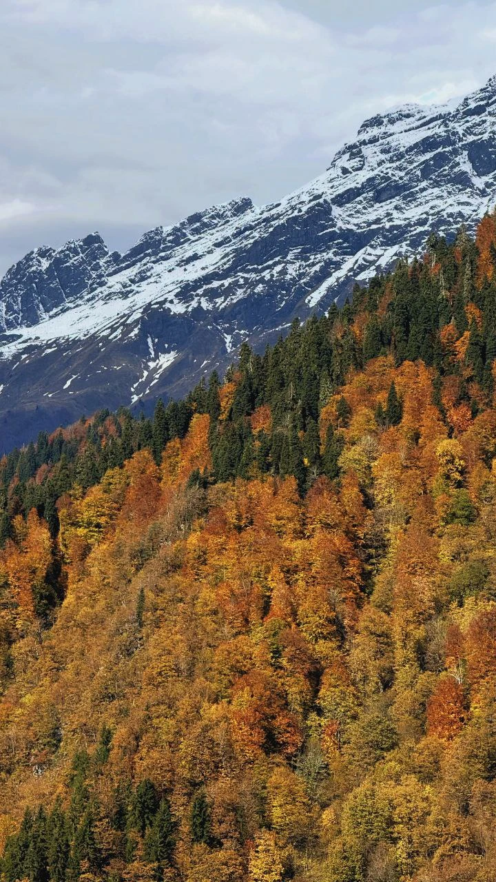 Ездили с подругами втроем, одна из нас когда-то давно уже была в Абхазии, но впечатление у