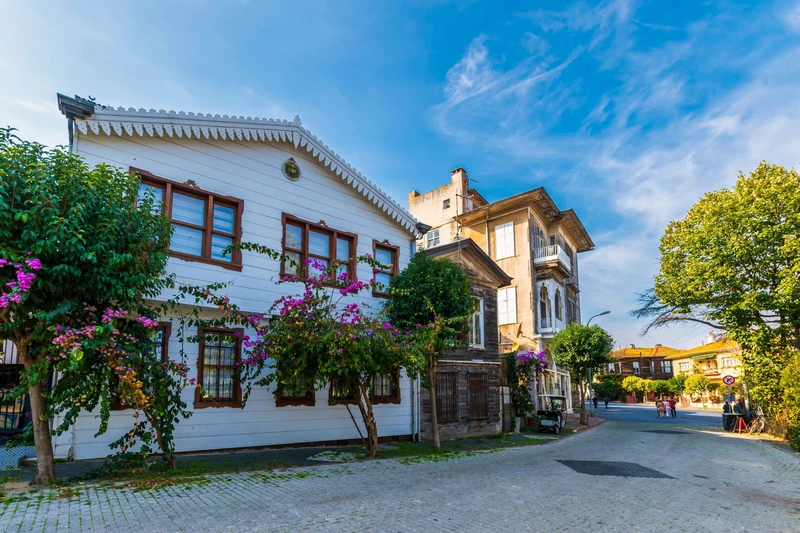 Круиз на Принцевы острова с обедом (без трансфера)