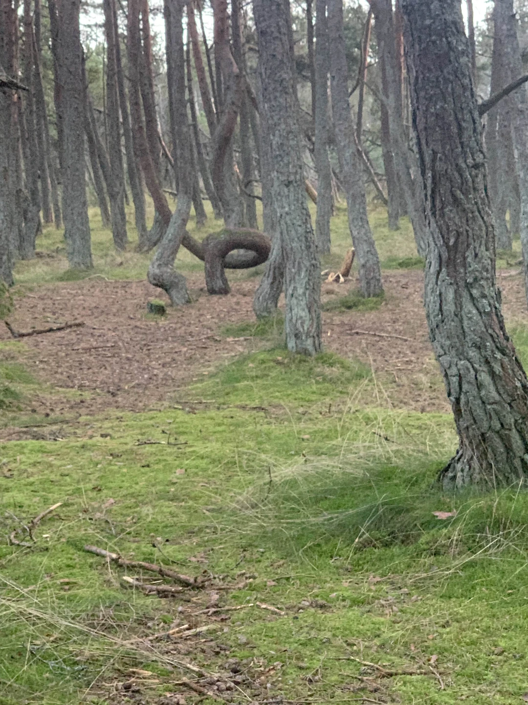 Приветствую всех путешественников! Не люблю писать отзывы, но гнет обещания, данного мной Евгению, давит на меня