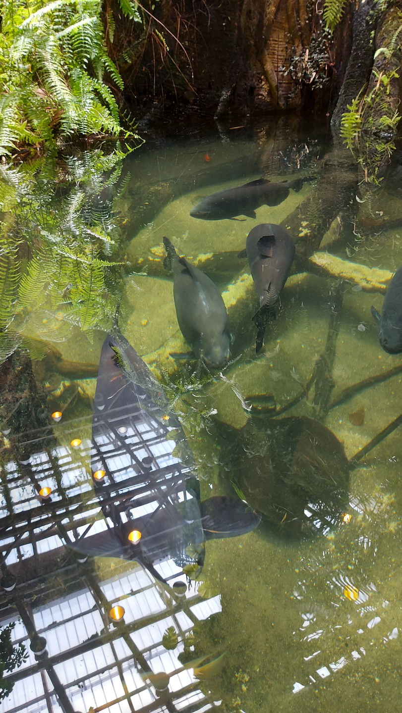 Были в июле в Стамбуле. Посетили данную экскурсию. Вопросов к организаторам в принципе нет, все понравилось