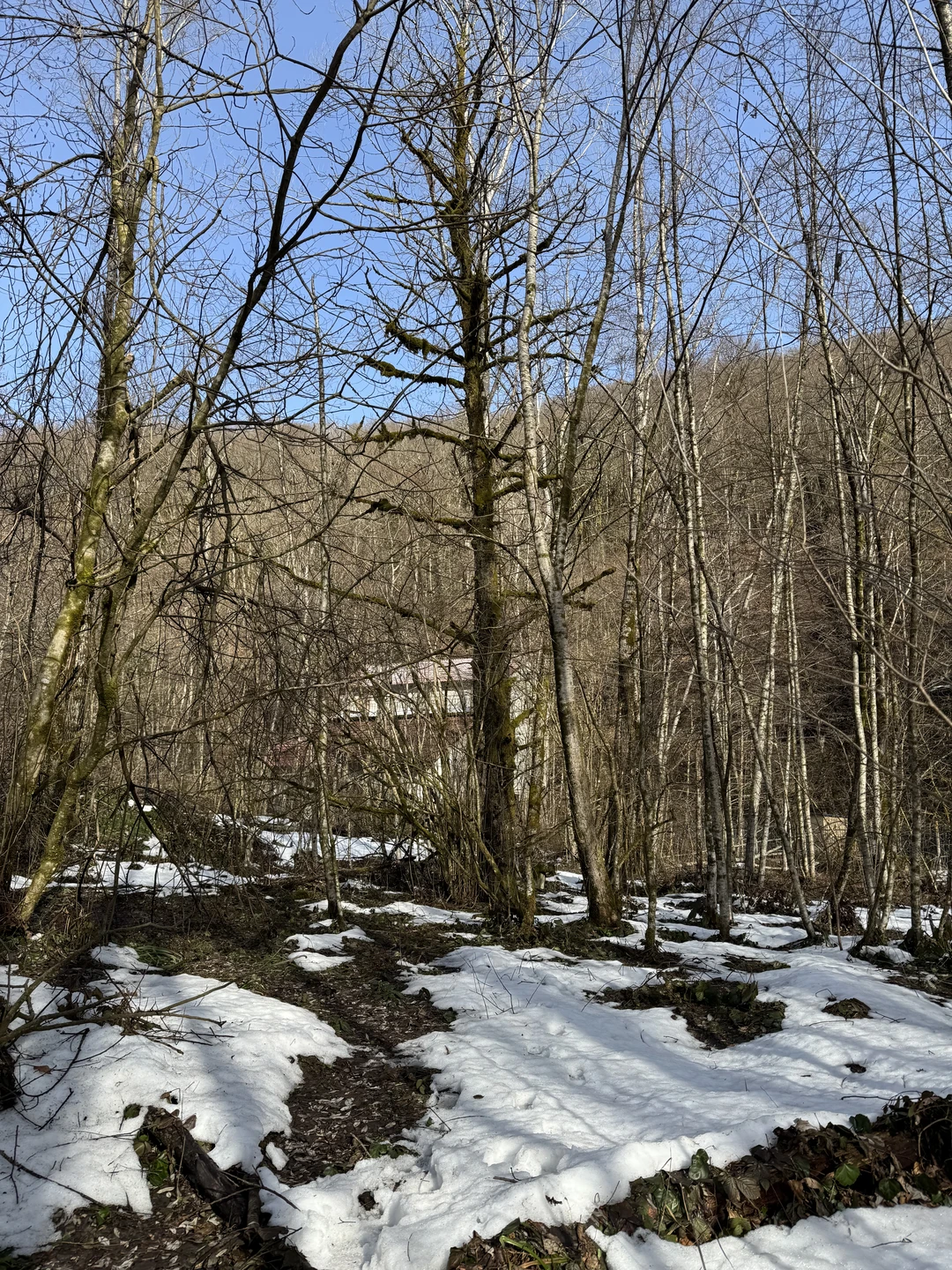 Отличное путешествие с приятным гидом. Посмотрели все, что запланировали, услышали много интересного о местах, которые посещали