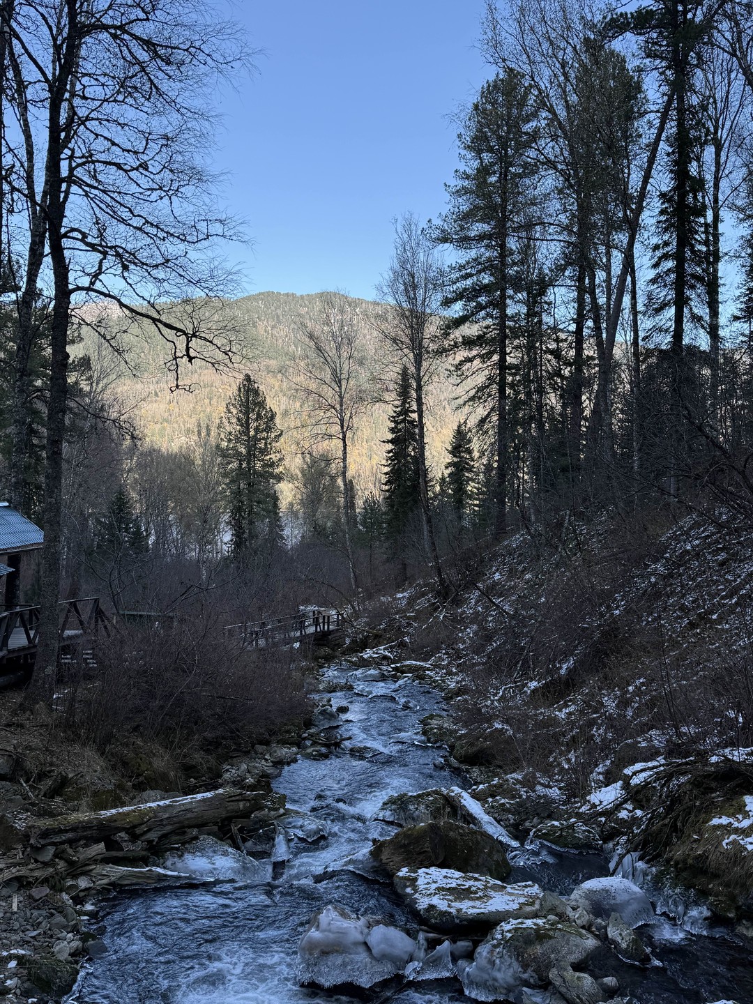 Хотите окунуться в сказку Алтая? Вам сюда! Содержательная экскурсия поистине увлеченного человека. Мы и не заметили