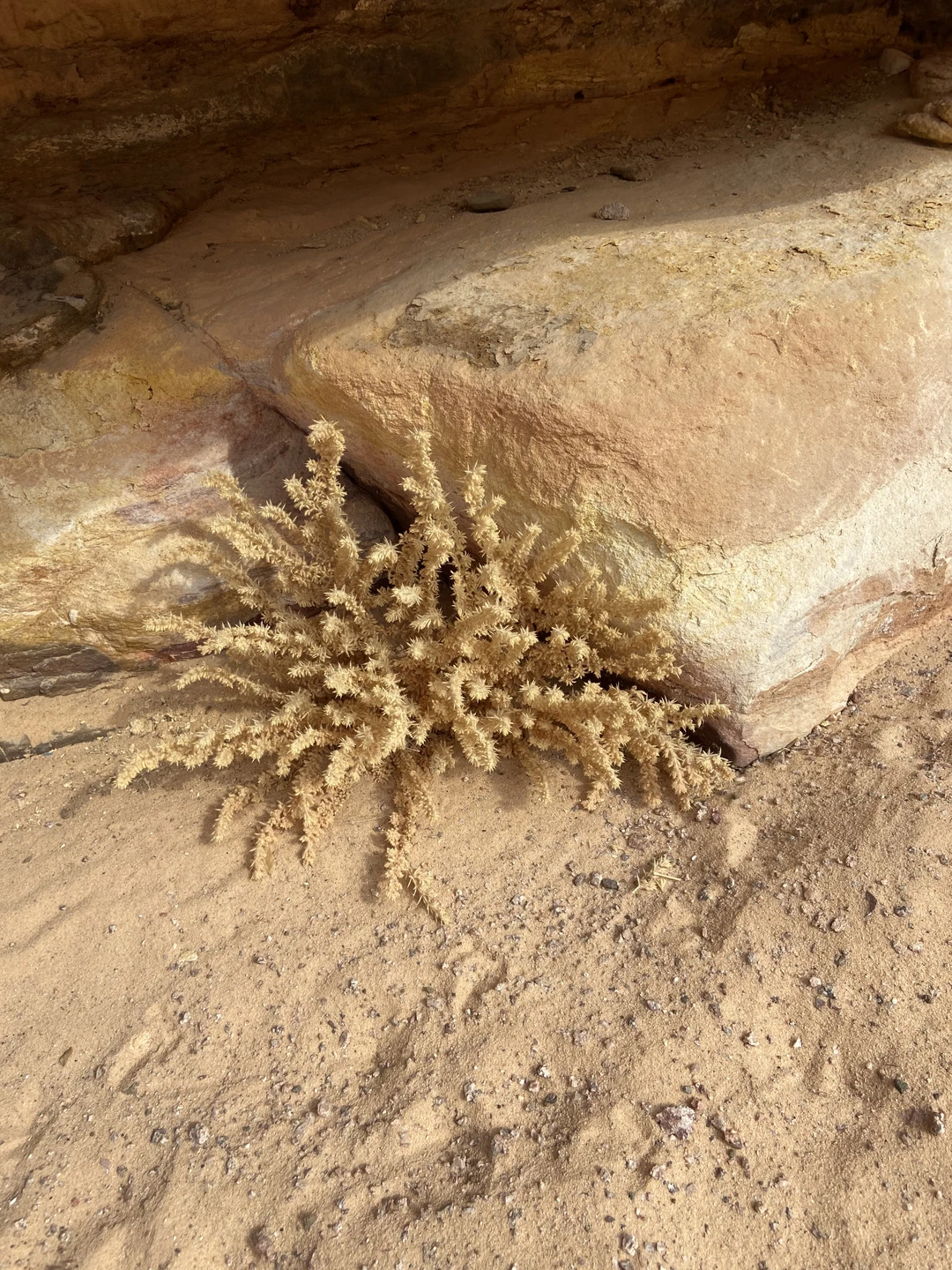 Были в компании 7 человек. Все понравилось. Организованно все хорошо, каньон красивый, лихой водитель на сафари прокатил с ветерком)