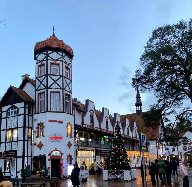 Янтарный берег: Светлогорск + посёлок Янтарный