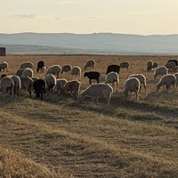 Фото отзыва 5: экскурсия "Сулакский каньон: незабываемый день в Дагестане"