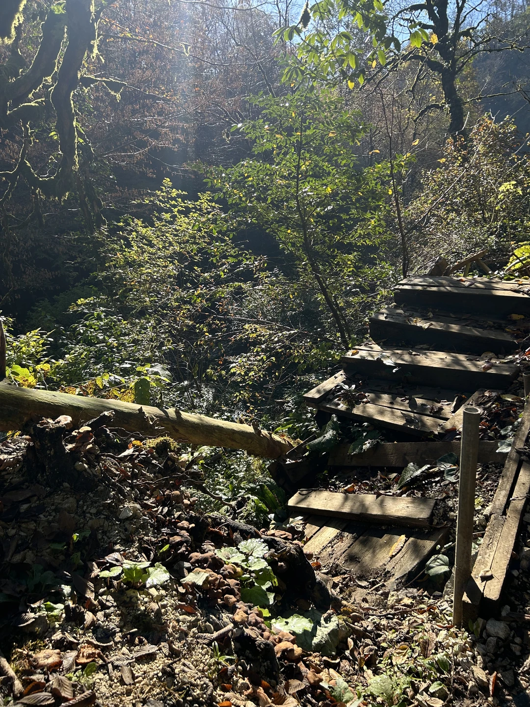 Очень приятная экскурсия! Эдуард — замечательный рассказчик, много знает интересного о местах путешествия, у него грамотная