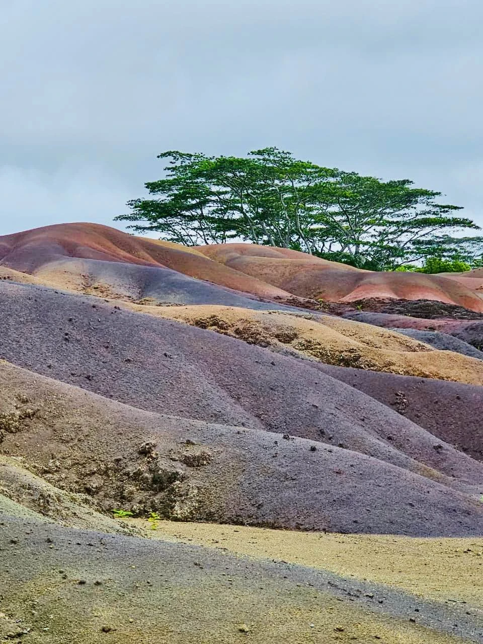 Отличная экскурсия! Возможность познакомиться с особенностями южной части острова. Дарья - прекрасный гид, замечательный водитель и