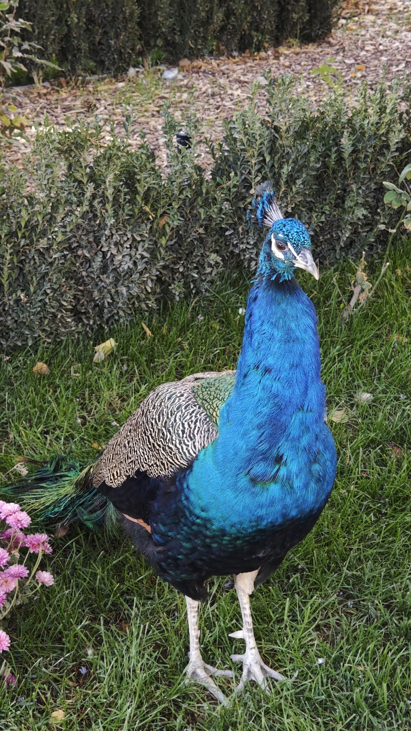 Акбар отличный гид! Все четко, по делу, информативно, слушать очень приятно. Маршрут очень комфортный, отлично подходит