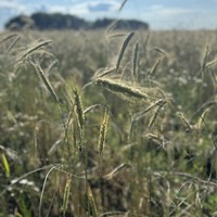 Фото отзыва 1: экскурсия "Живописное путешествие из Кирова на Чимбулат"