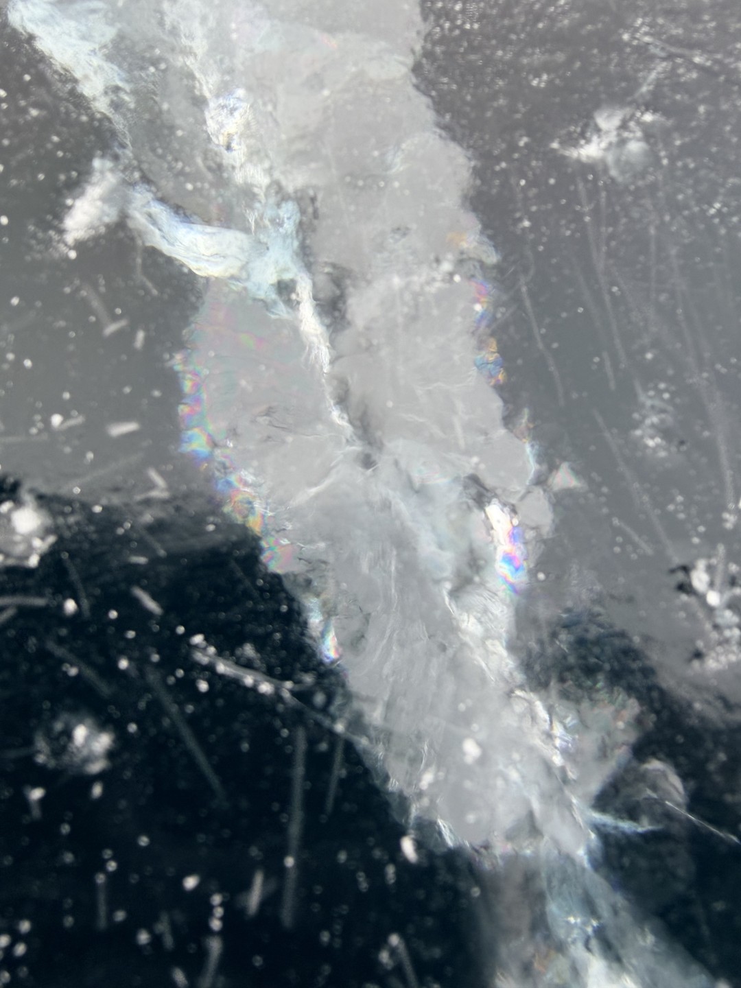 Алексей! Спасибо вам огромное, за эту невероятную поездку! Сказать, что это было круто, ничего не сказать!