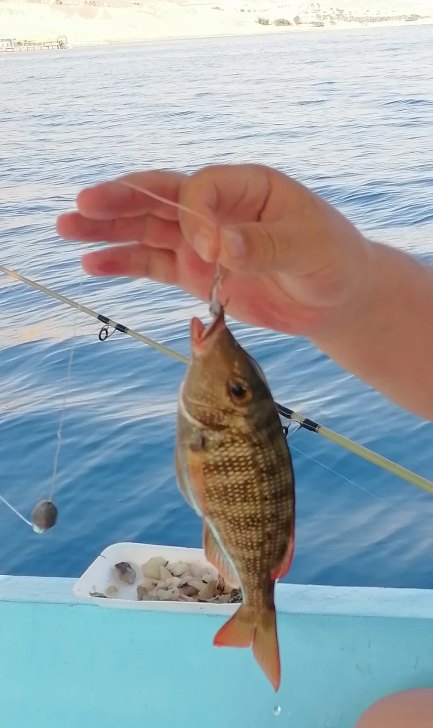 Очень хотелось бы поблагодарить нашего гида Валида за увлекательную экскурсию в мир Древнего Египта, которую он