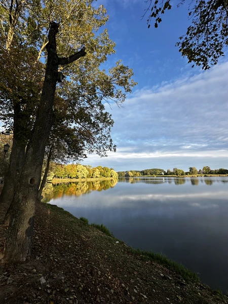 Замки Беларуси: групповая экскурсия в Мир и Несвиж из Минска (olesaastafeva325@gmail.com)