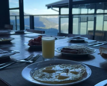 Фото отзыва 3: авторский тур "Тур-знакомство со Шри-Ланкой: чайные плантации, легендарный поезд и подъёмы на вершины"