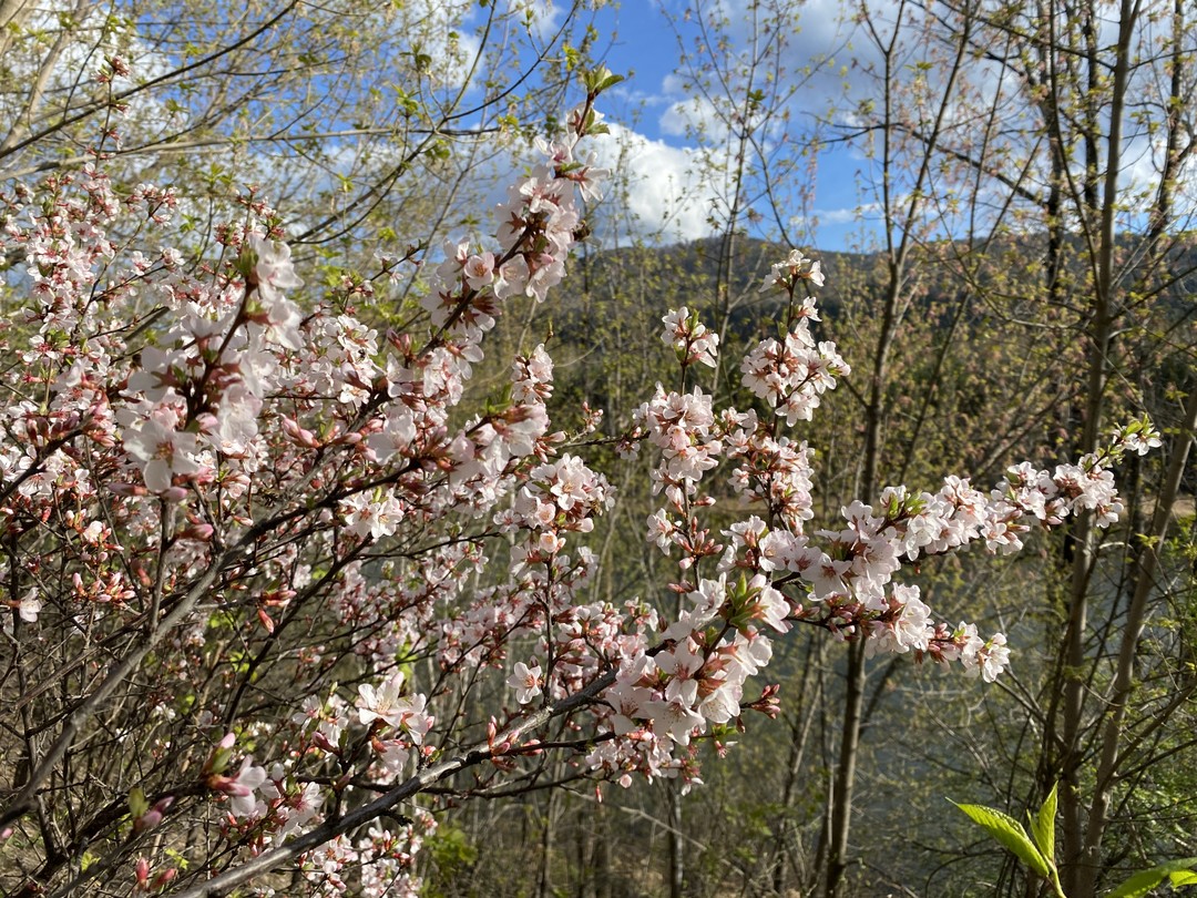 За время моего почти двухнедельного пребывания в Красноярске на майских праздниках я успела посмотреть на город
